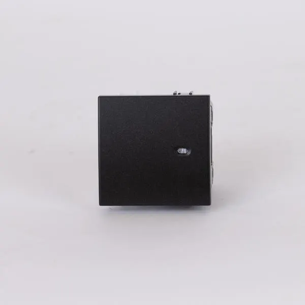 ΔΙΑΚΟΠΤΗΣ 2 MODULES ΑΠΛΟΣ ΜΕ ΛΥΧΝΙΑ ΜΑΥΡΟ