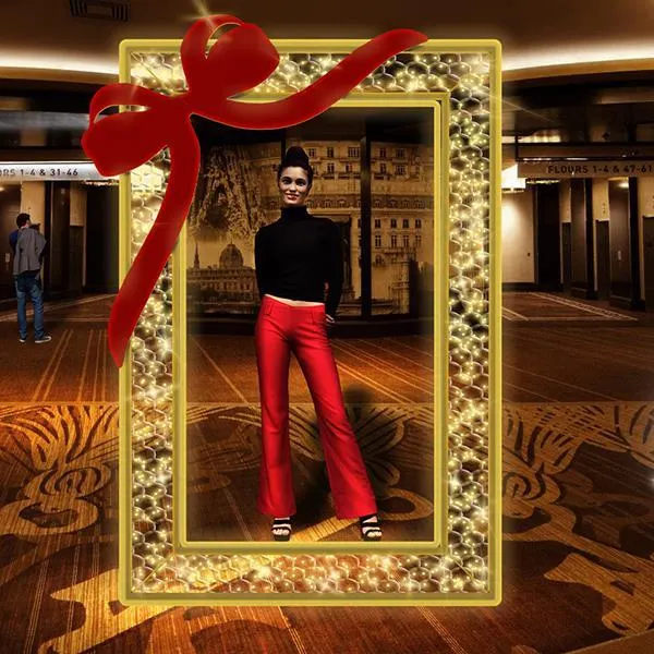 XMAS ΕΠΑΓΓΕΛΜΑΤΙΚΟ ΣΧΕΔΙΟ ΚΟΡΝΙΖΑ ΜΕ ΘΕΡΜΗ ΛΕΥΚΗ LED ΦΩΤΟΣΩΛΗΝΑ 165x250cm IP65