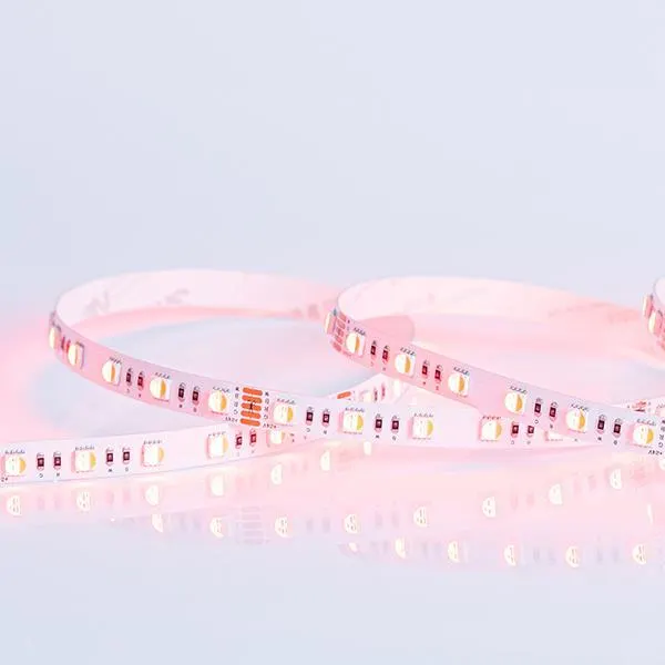 ΤΑΙΝΙΑ LED 5M 10W 24V RGBW-3000K 60 LED/M IP20 PLUS