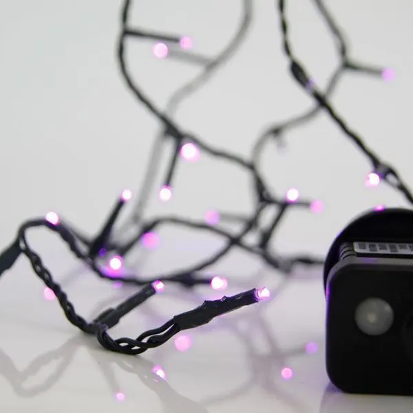 XMAS ΛΑΜΠΑΚΙ ΣΕΙΡΑ 100 LED 3mm 31V ΜΕΤΑΣΧΗΜΑΤΙΣΤΗ ΜΕ 8 ΠΡΟΓΡΑΜΜΑΤΑ & ΜΝΗΜΗ ΠΡΑΣΙΝΟ PVC ΚΑΛΩΔΙΟ ΜΩΒ LED ΑΝΑ 5cm ΠΑΡΟΧΗ 3m ΙΡ44