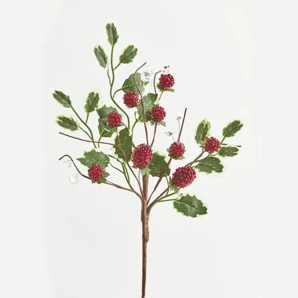 Κλαδιά με Berries