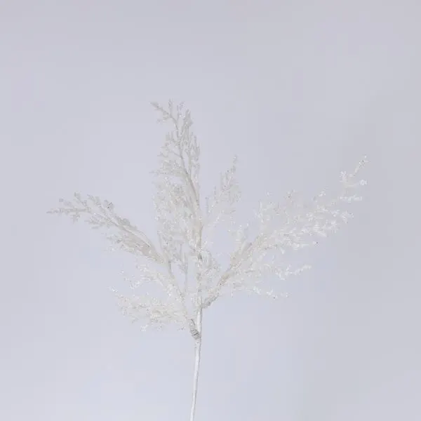 ΦΤΕΡΗ ΛΕΥΚΗ, 28cm, ΣΕΤ 2ΤΜΧ (TOP 120)